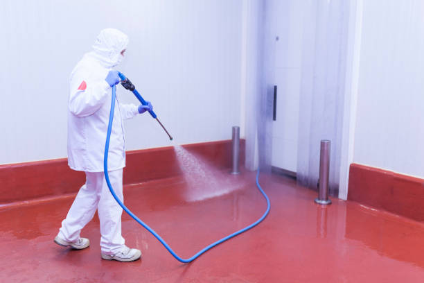 Best Pre-Holiday Cleaning  in Hanceville, AL